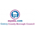 Conwy LLC1 and Con29 Search